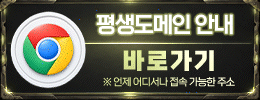 평생도메인